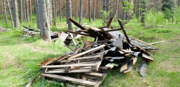 Debris Removal Service in Loveland