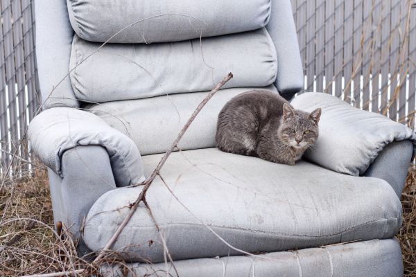 Recliner Disposal in Loveland
